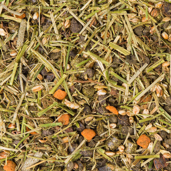 Höveler Western Basic